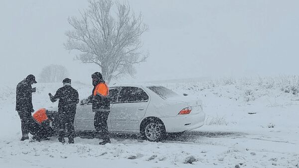 Wp Header Logo 916.png