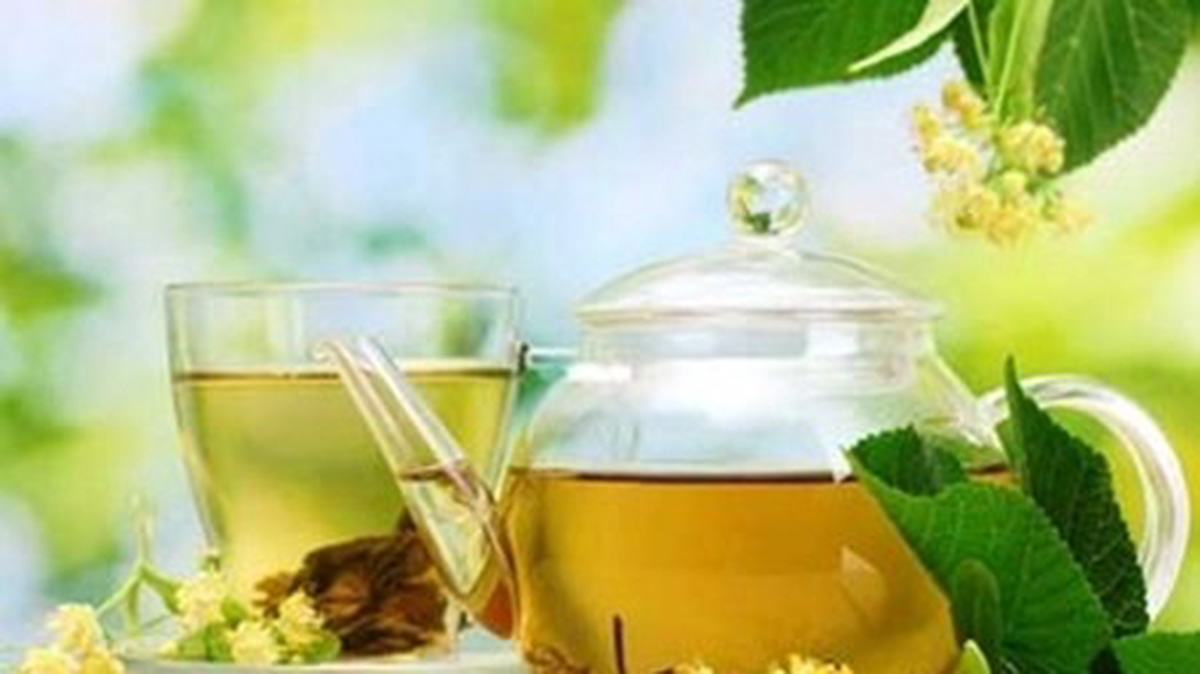 Wp Header Logo 931.png