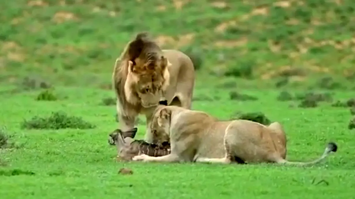 Wp Header Logo 940.png