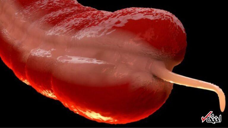 Wp Header Logo 968.png